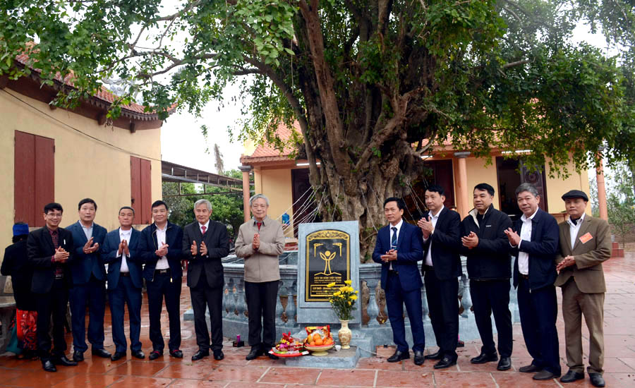 Cây[-]Ruối[-]khổng[-]lồ[-]của[-]tỉnh[-]Hải[-]Dương[-]được[-]vinh[-]danh[-]Cây[-]Di[-]sản[-]Việt[-]Nam